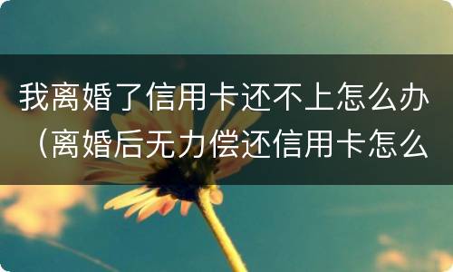 我离婚了信用卡还不上怎么办（离婚后无力偿还信用卡怎么办）