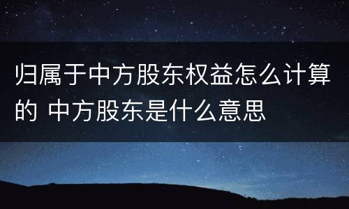 归属于中方股东权益怎么计算的 中方股东是什么意思