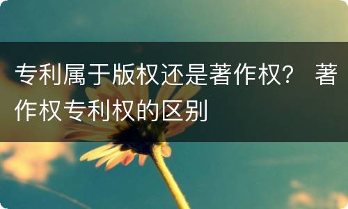 专利属于版权还是著作权？ 著作权专利权的区别