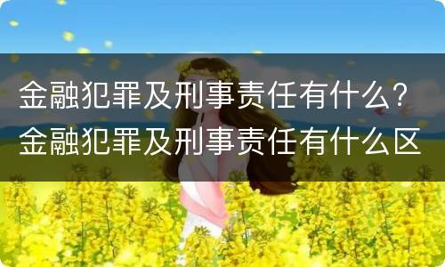 金融犯罪及刑事责任有什么? 金融犯罪及刑事责任有什么区别