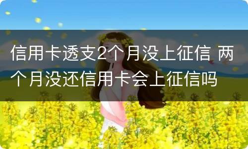 信用卡透支2个月没上征信 两个月没还信用卡会上征信吗