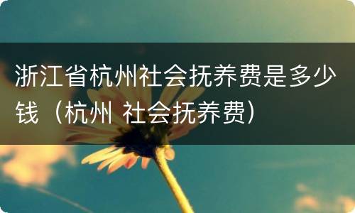 浙江省杭州社会抚养费是多少钱（杭州 社会抚养费）