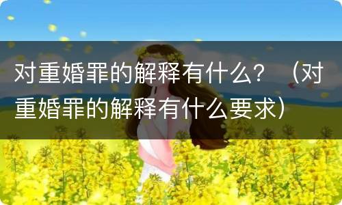 对重婚罪的解释有什么？（对重婚罪的解释有什么要求）