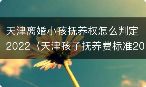 天津离婚小孩抚养权怎么判定2022（天津孩子抚养费标准2021多少钱一个月）