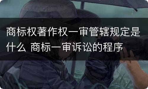 商标权著作权一审管辖规定是什么 商标一审诉讼的程序