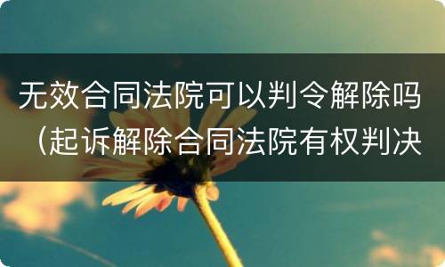 无效合同法院可以判令解除吗（起诉解除合同法院有权判决合同无效吗）