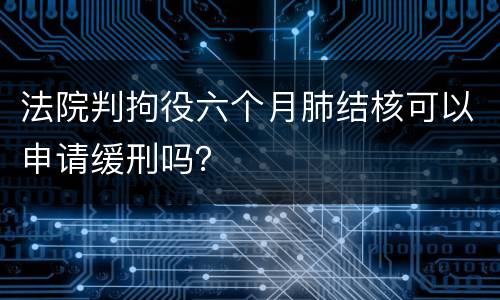 法院判拘役六个月肺结核可以申请缓刑吗？
