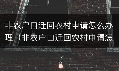 非农户口迁回农村申请怎么办理（非农户口迁回农村申请怎么办理的）