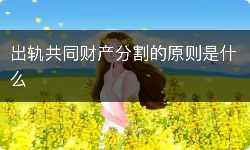 出轨共同财产分割的原则是什么