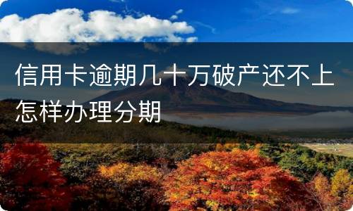 信用卡逾期几十万破产还不上怎样办理分期