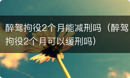 醉驾拘役2个月能减刑吗（醉驾拘役2个月可以缓刑吗）