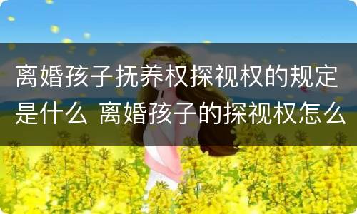 离婚孩子抚养权探视权的规定是什么 离婚孩子的探视权怎么规定的