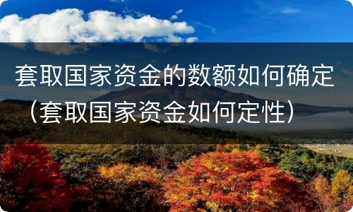 套取国家资金的数额如何确定（套取国家资金如何定性）