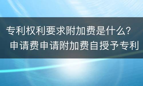 专利权利要求附加费是什么？ 申请费申请附加费自授予专利权