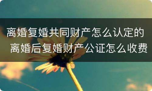 离婚复婚共同财产怎么认定的 离婚后复婚财产公证怎么收费