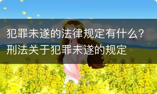 犯罪未遂的法律规定有什么? 刑法关于犯罪未遂的规定