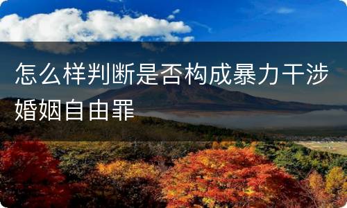 怎么样判断是否构成暴力干涉婚姻自由罪