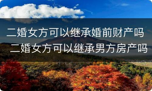 二婚女方可以继承婚前财产吗 二婚女方可以继承男方房产吗