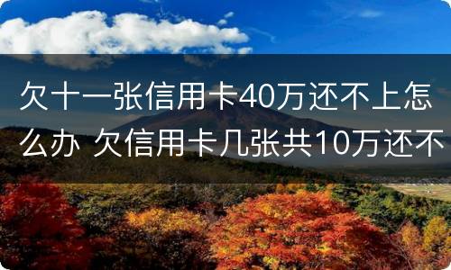 欠十一张信用卡40万还不上怎么办 欠信用卡几张共10万还不上怎么办