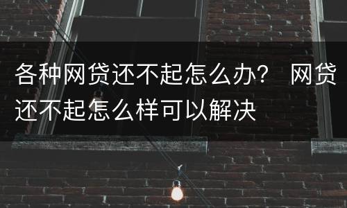 各种网贷还不起怎么办？ 网贷还不起怎么样可以解决