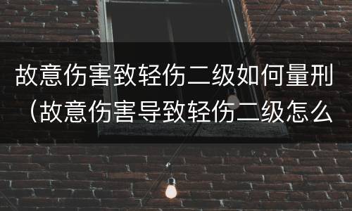 故意伤害致轻伤二级如何量刑（故意伤害导致轻伤二级怎么判刑）