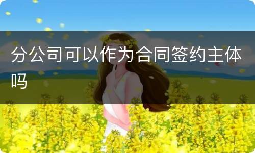 分公司可以作为合同签约主体吗