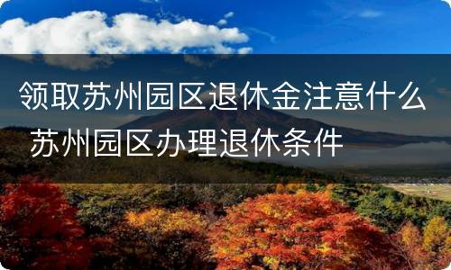 领取苏州园区退休金注意什么 苏州园区办理退休条件