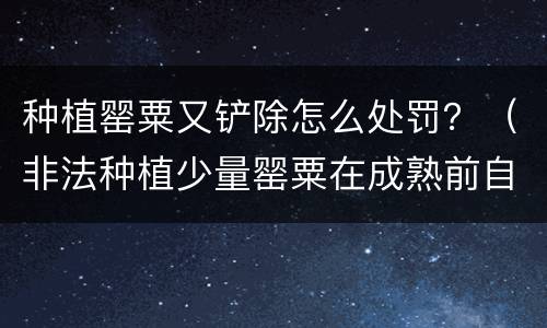 种植罂粟又铲除怎么处罚？（非法种植少量罂粟在成熟前自行铲除需要处罚吗）