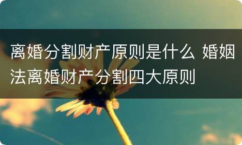 离婚分割财产原则是什么 婚姻法离婚财产分割四大原则