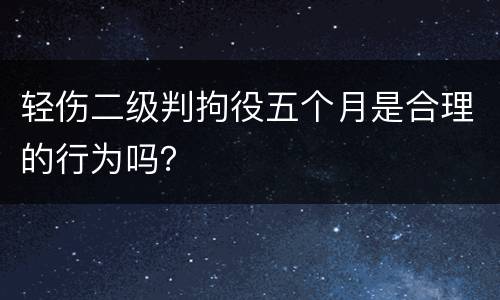 轻伤二级判拘役五个月是合理的行为吗？