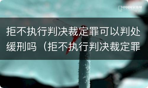 拒不执行判决裁定罪可以判处缓刑吗（拒不执行判决裁定罪是刑事案件吗）