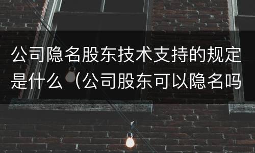 公司隐名股东技术支持的规定是什么（公司股东可以隐名吗）