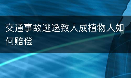 交通事故逃逸致人成植物人如何赔偿