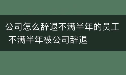 公司怎么辞退不满半年的员工 不满半年被公司辞退