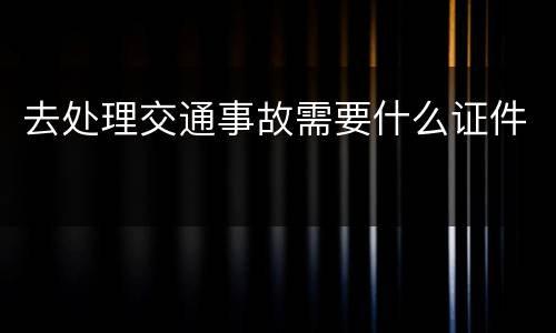 去处理交通事故需要什么证件