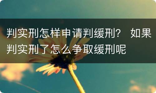 判实刑怎样申请判缓刑？ 如果判实刑了怎么争取缓刑呢