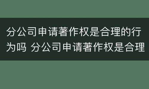 分公司申请著作权是合理的行为吗 分公司申请著作权是合理的行为吗