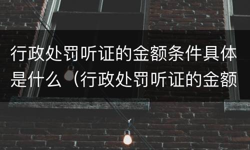 行政处罚听证的金额条件具体是什么（行政处罚听证的金额条件具体是什么）
