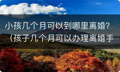小孩几个月可以到哪里离婚？（孩子几个月可以办理离婚手续）