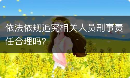 依法依规追究相关人员刑事责任合理吗？
