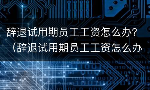 辞退试用期员工工资怎么办？（辞退试用期员工工资怎么办理）