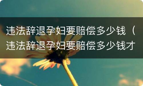 违法辞退孕妇要赔偿多少钱（违法辞退孕妇要赔偿多少钱才能起诉）