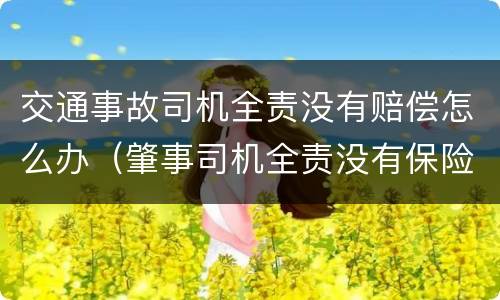 交通事故司机全责没有赔偿怎么办（肇事司机全责没有保险不赔钱怎么办）
