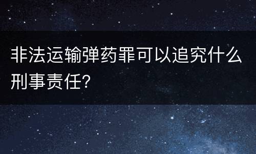 非法运输弹药罪可以追究什么刑事责任？