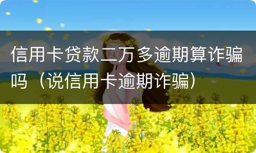 信用卡贷款二万多逾期算诈骗吗（说信用卡逾期诈骗）