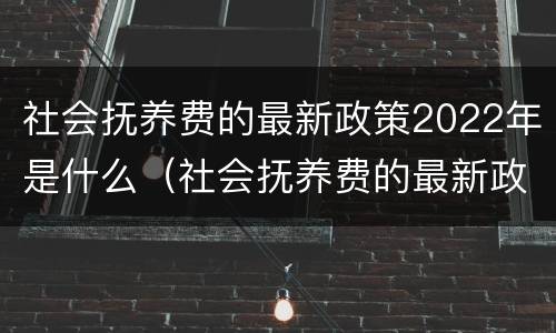 社会抚养费的最新政策2022年是什么（社会抚养费的最新政策2022年是什么时候执行）