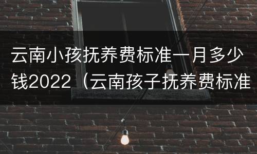 云南小孩抚养费标准一月多少钱2022（云南孩子抚养费标准）