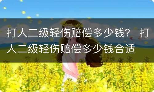 打人二级轻伤赔偿多少钱？ 打人二级轻伤赔偿多少钱合适