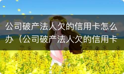 公司破产法人欠的信用卡怎么办（公司破产法人欠的信用卡怎么办理还款）