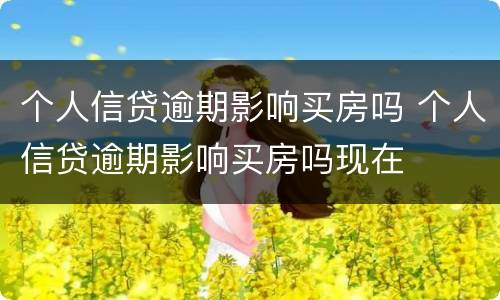 个人信贷逾期影响买房吗 个人信贷逾期影响买房吗现在